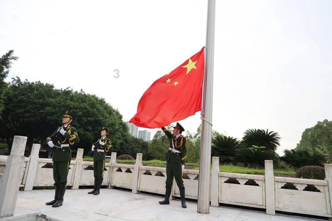 小猫钓鱼游戏龙王版有船